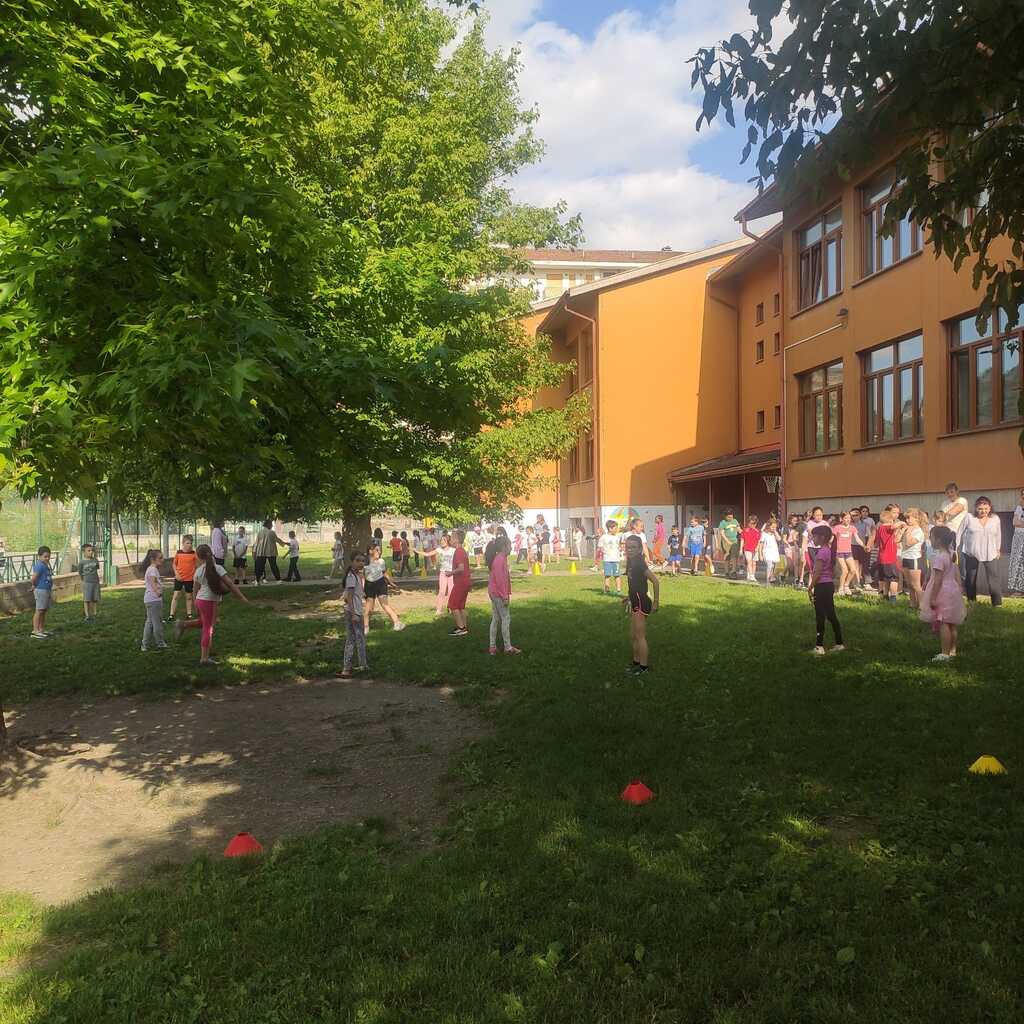 IMG-20250617-WA0005