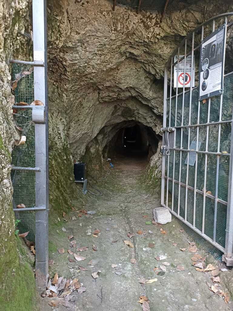 IMG-20250806-WA0012