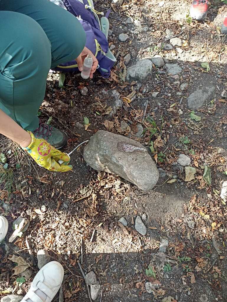 IMG-20250806-WA0015