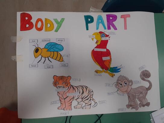 body part cart